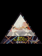 Cover for Amiga Karate
