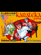 Cover for Karateka