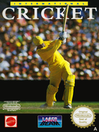 Cover for International Cricket