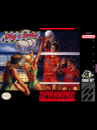 Cover for Dig & Spike Volleyball