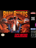 Cover for Brawl Brothers