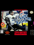 Cover for RHI Roller Hockey '95