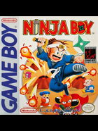 Cover for Ninja Boy