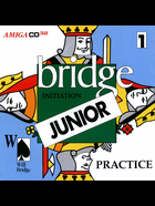 Cover for Will Bridge: Initiation Junior