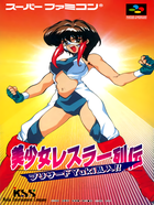 Cover for Bishoujo Wrestler Retsuden: Blizzard Yuki Rannyuu!!