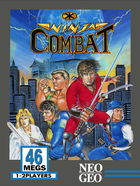 Cover for Ninja Combat