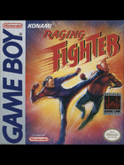 Cover for Raging Fighter