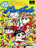 Cover for Multi Play Volleyball