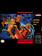 Cover for Art of Fighting