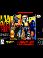Cover for Ninja Gaiden Trilogy