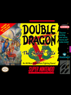 Cover for Double Dragon V: The Shadow Falls