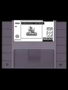 Cover for (TECH) SNES Burn-in Test Cartridge